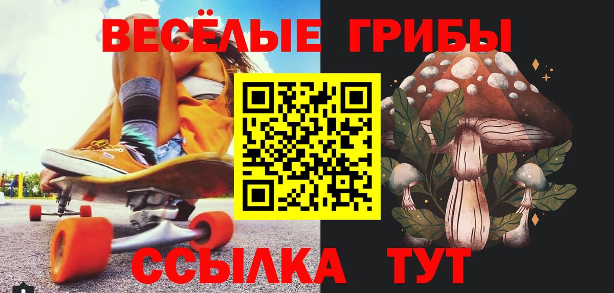 Галлюциногенные грибы Cubensis Вологда