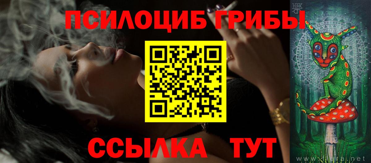 Вологда  Псилоцибиновые грибы мухоморы  Вход с VPN 